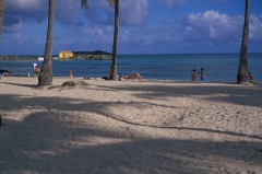 290-10 Creole Beach]ǪyD