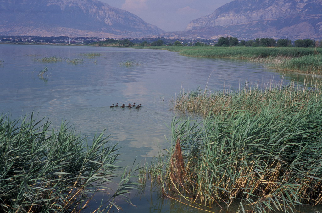 353-28 Utah Lake State Park