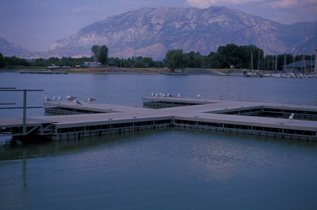 354-04 Utah Lake State Park