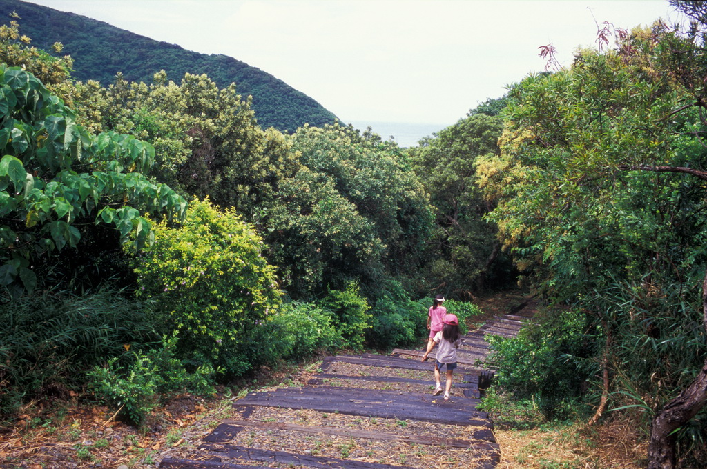 400-21.jpg - 台東  大武國家森林步道