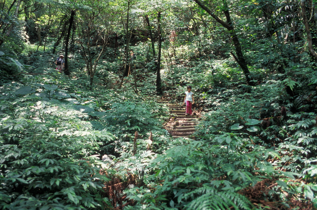 407-13.jpg - 聖母山莊國家森林步道