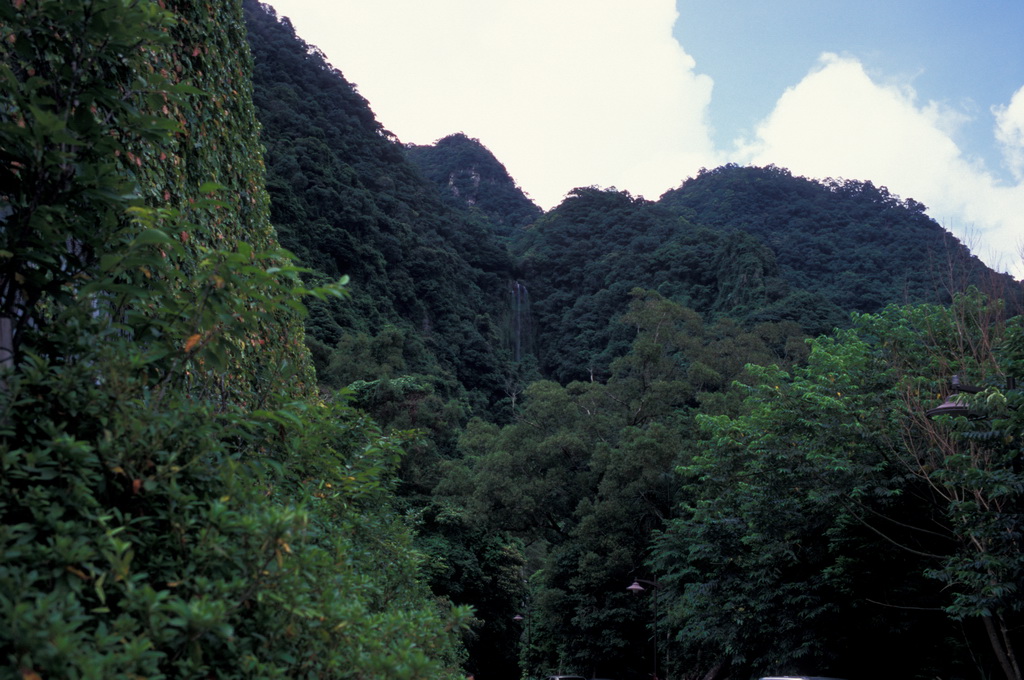 407-20.jpg - 聖母山莊國家森林步道