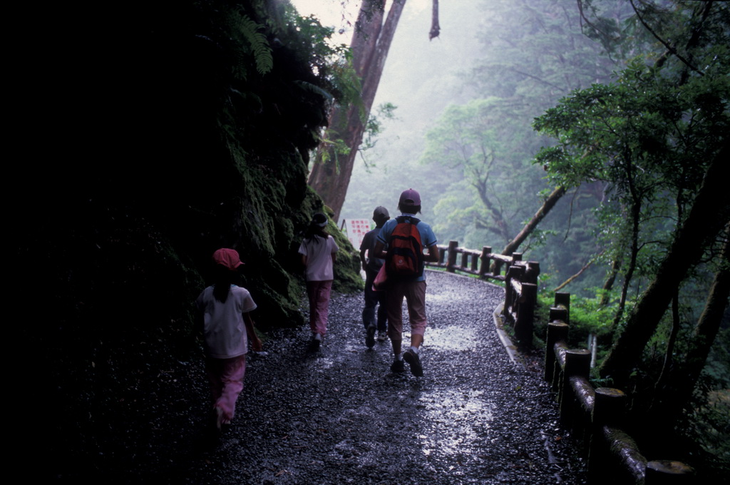 411-33.jpg - 巴陵 拉拉山森林遊樂區