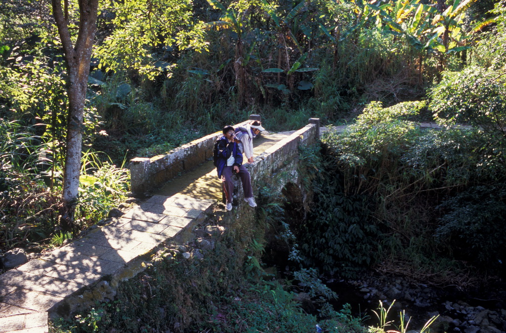 432-05.jpg - 新竹橫山大山背