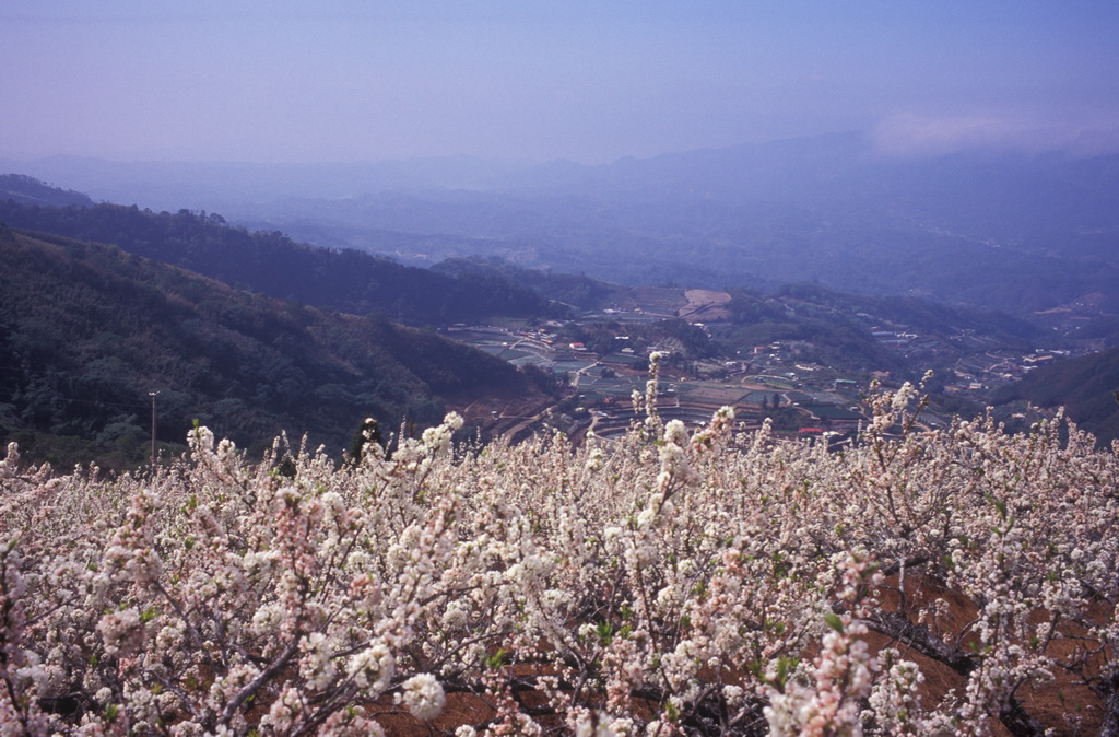 434-22.jpg - 苗栗 馬那幫山