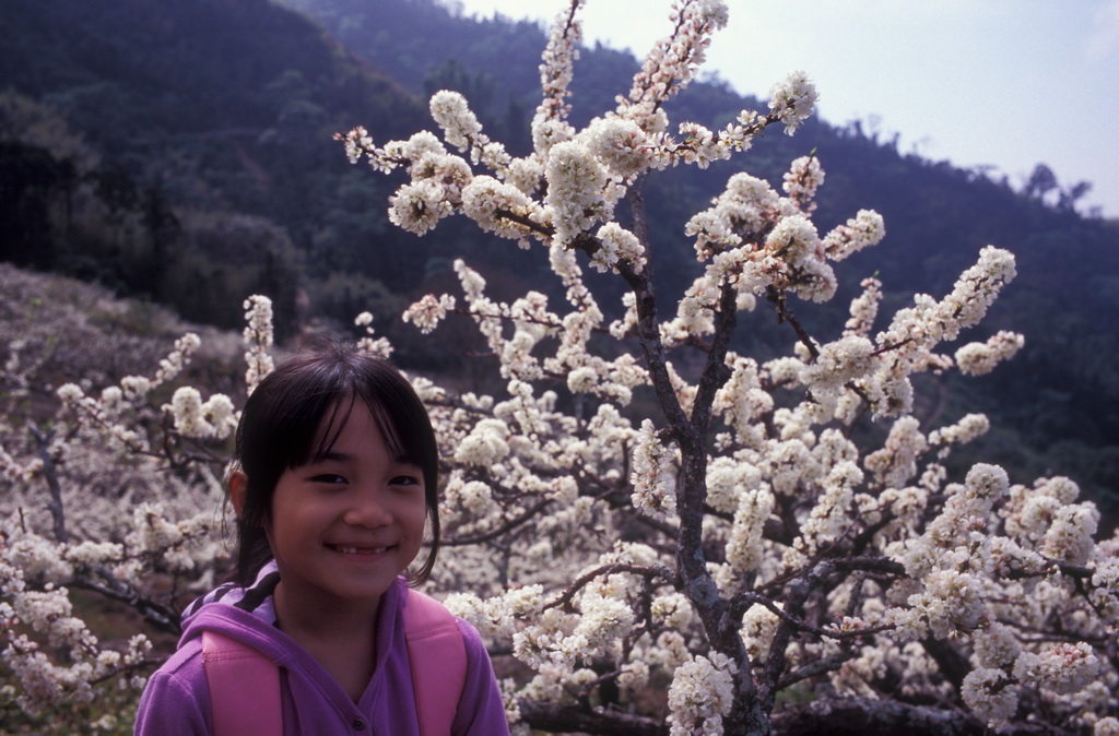 434-28.jpg - 苗栗 馬那幫山