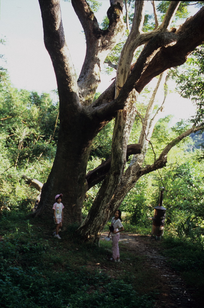 447-23.jpg - 苗栗頭份 永和山水庫水源路及東興小份坑道2009.6.13